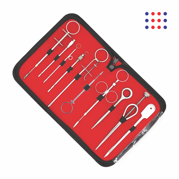 Teat Instruments Set in Red Case